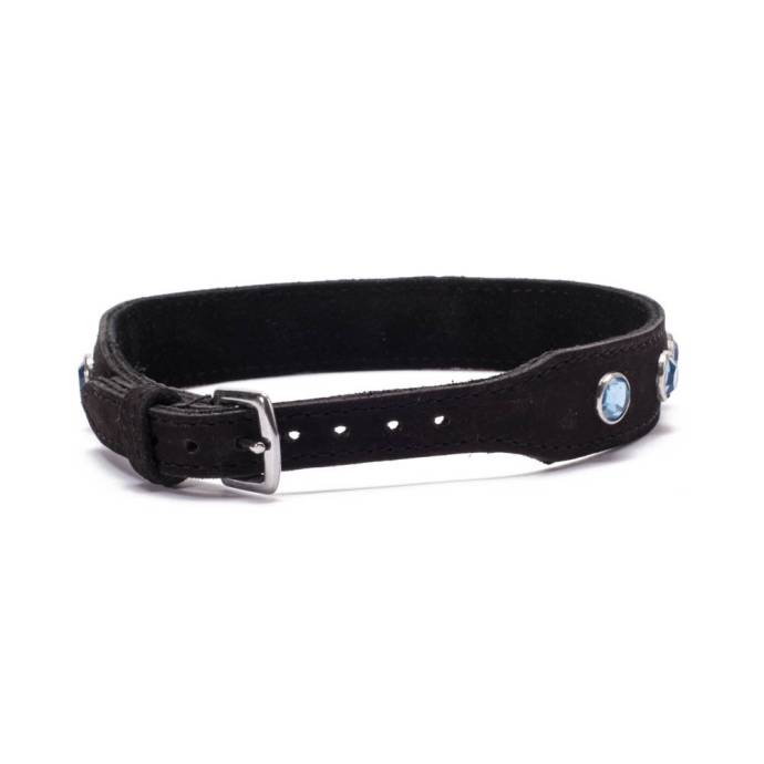 Crystal Collar Light Blue