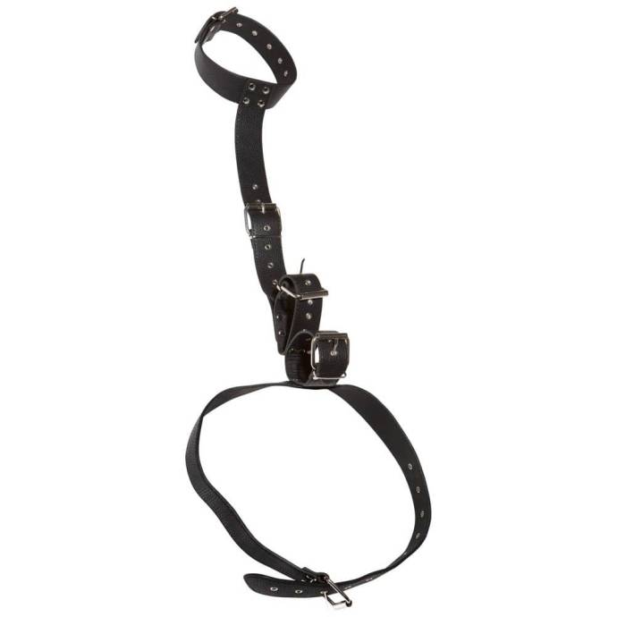 Bad Kitty Neck And Hand Restraints