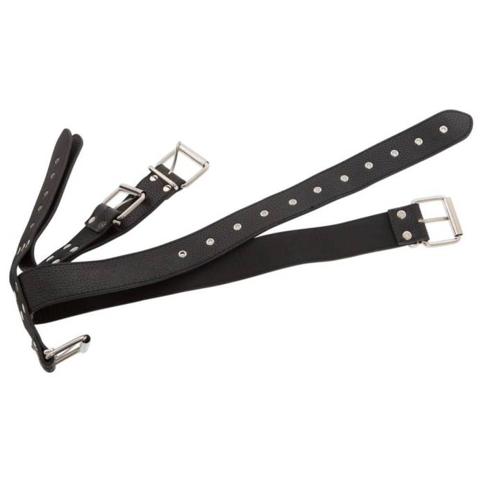 Bad Kitty Neck And Hand Restraints